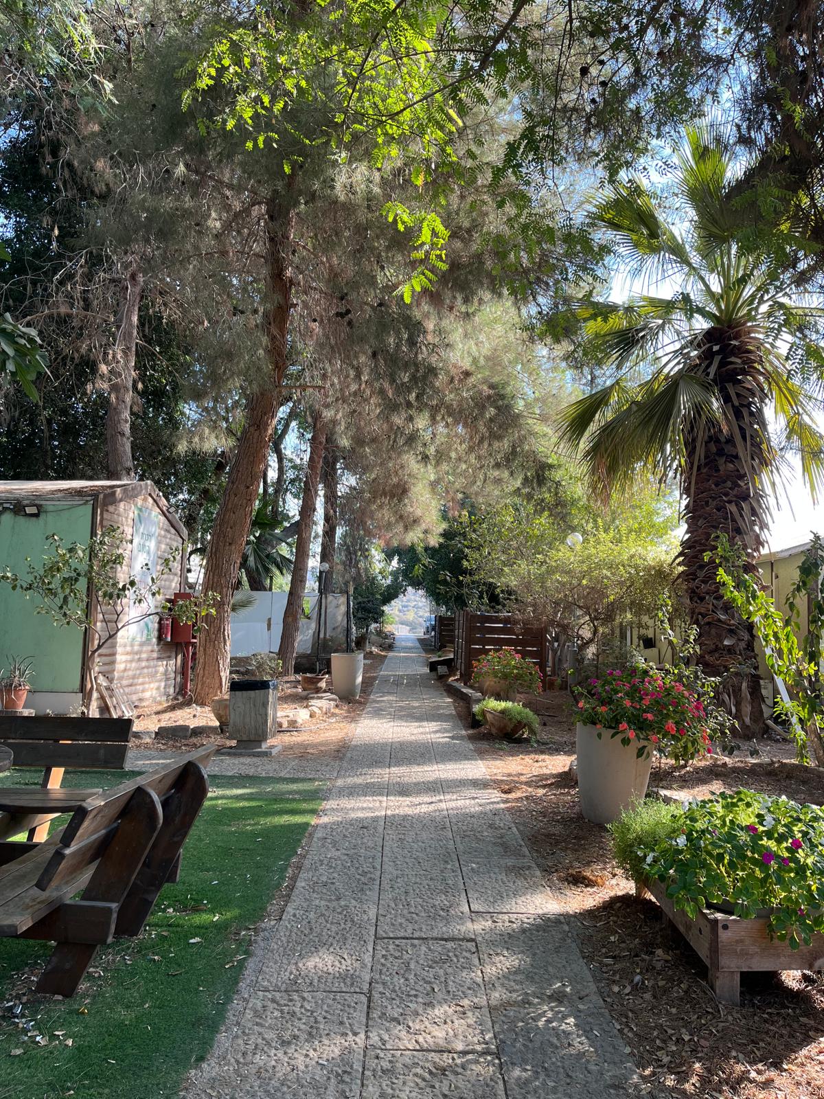 שבילי הפנימייה מדריכים